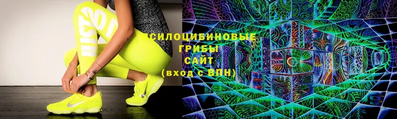 Псилоцибиновые грибы Cubensis  Балтийск 